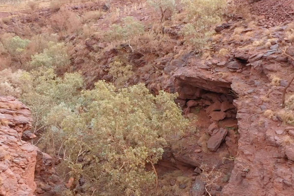 Before it was destroyed by Rio Tinto, the Juukan Gorge in WA held evidence of human habitation dating back 46,000 years.