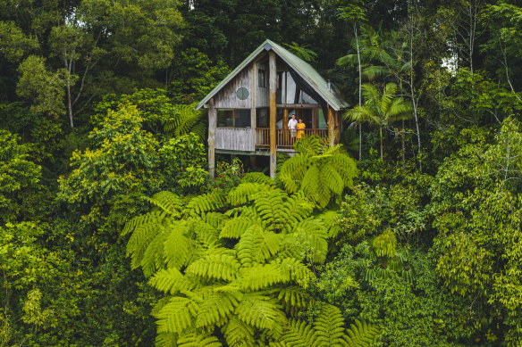 A stay in the trees.