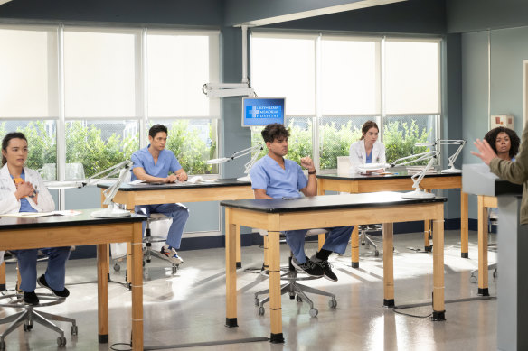 The current crop of ambitious interns at Grey Sloane Hospital are played by Midori Francis, Harry Shum Jr, Nick Terho, Adelaide Kane and Alexis Floyd.