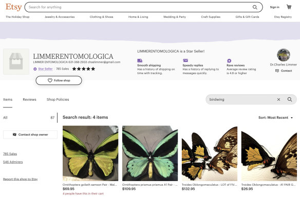 This screengrab of the Etsy page of a seller going by “LIMMERENTOMOLOGICA” shows four birdwing specimens currently on sale online.