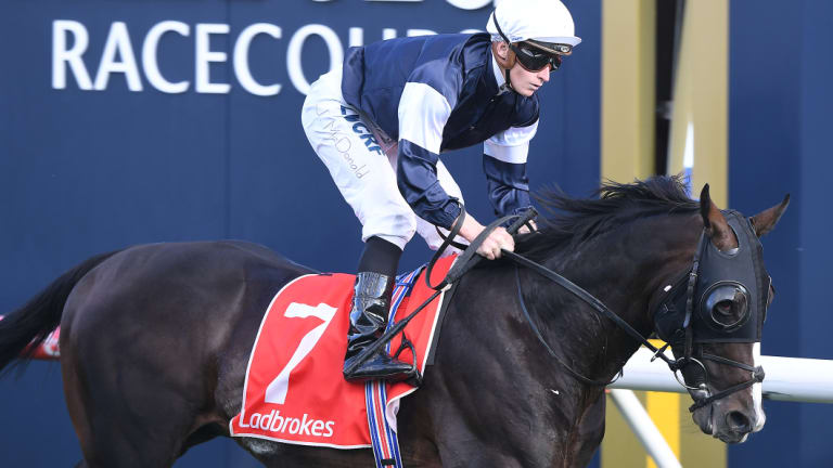 Favourite: Yucatan, owned by Lloyd Williams and trained by Aidan O'Brien, strolls to victory in the Herbert Power Stakes.