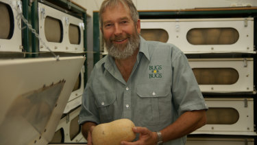 Dan Papacek of Bugs for Bugs, holding a pumpkin covered in scale insects which have parasites developing within.