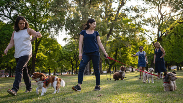 Perth boy almost loses leg to infection after falling in dog faeces