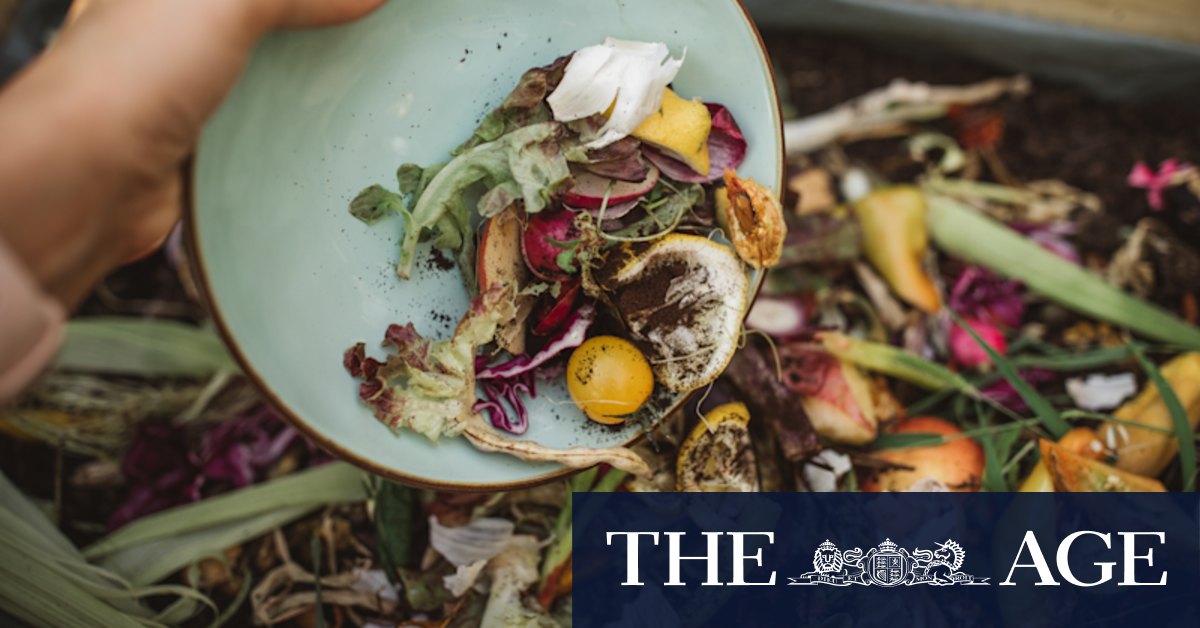 The simple mistakes that could ruin your compost - Vimarsana News