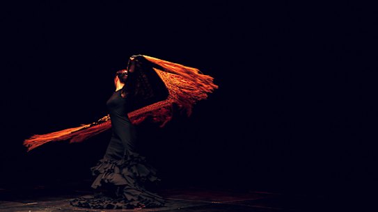 Flamenco, the passionate Spanish dance, at home in Jerez.