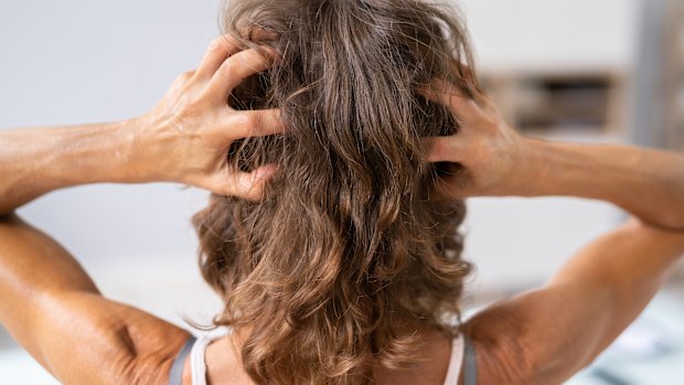 Don’t fear the trim. A regular haircut could actually help your hair grow to its full potential.