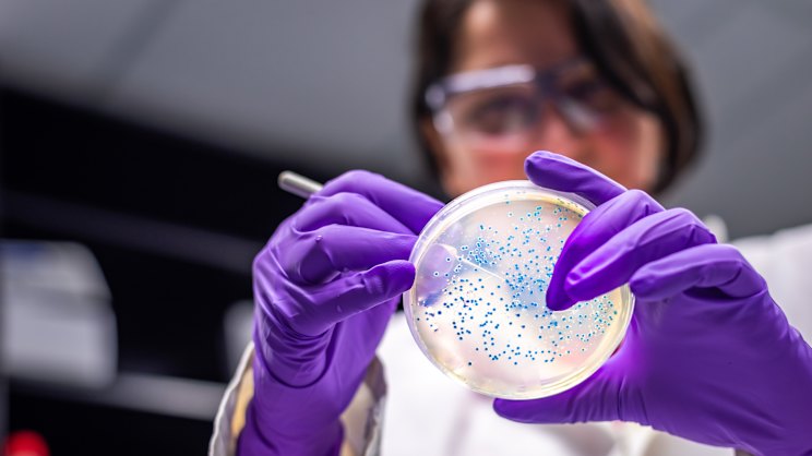 theage.com.au - Henrietta Cook - Spike in dangerous bacteria leaves toddlers hospitalised after farm visits
