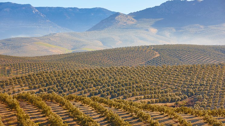 You may not have heard of this place, but you’ve probably tasted its produce
