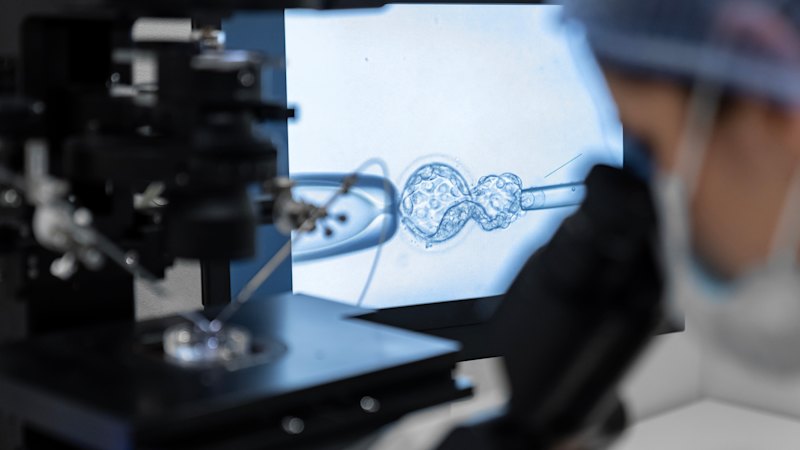 The ‘secret menu’ IVF option for unused embryos (australia) — SMH