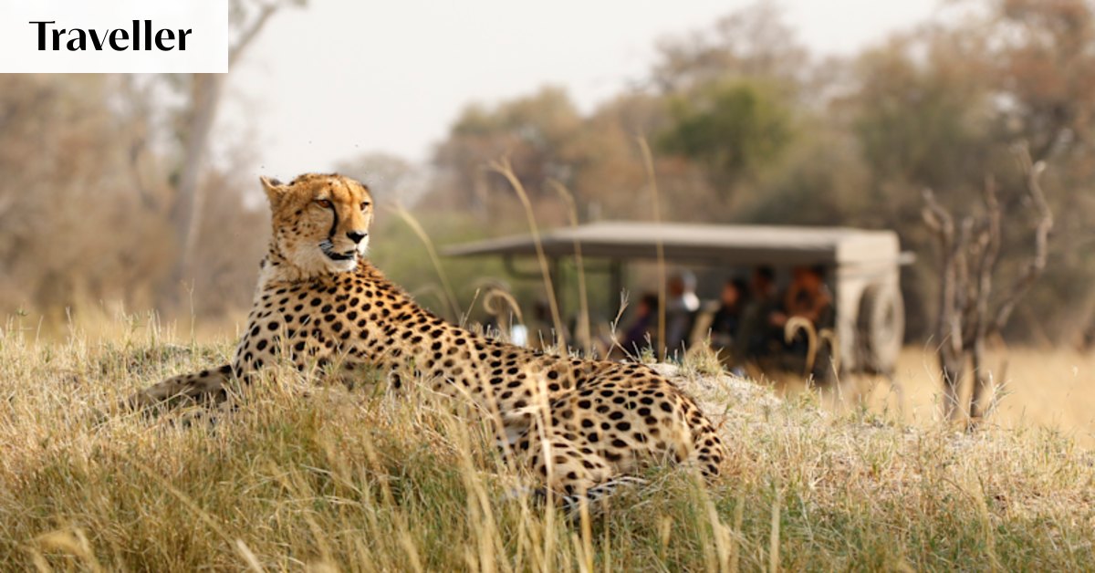 How to choose the right safari experience