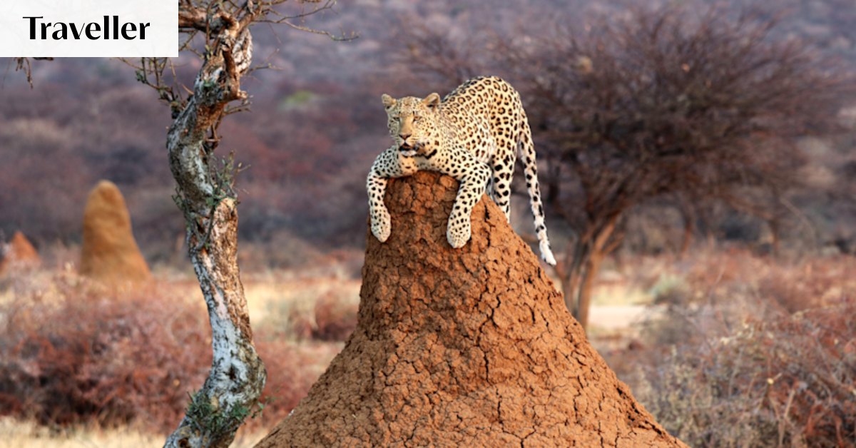 The new Africa: 25 epic places and experiences