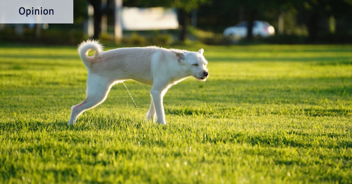 This selfish lifestyle choice is ruining this Sydney area. Why should I pay for it?