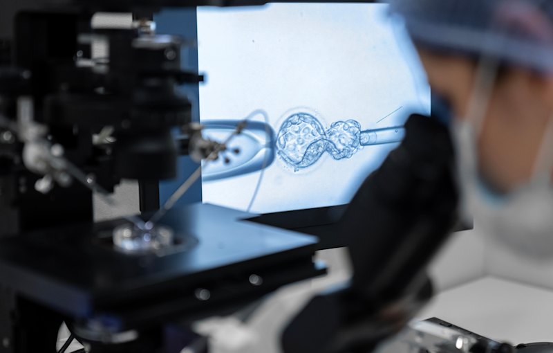 The ‘secret menu’ IVF option for unused embryos