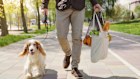 Leaving assets to a pet can lead to bitter disputes.