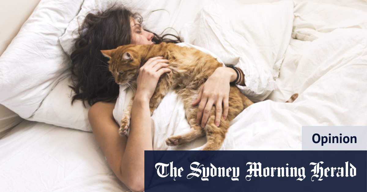 Why does my cat wake me up so early, and what can I do about it?