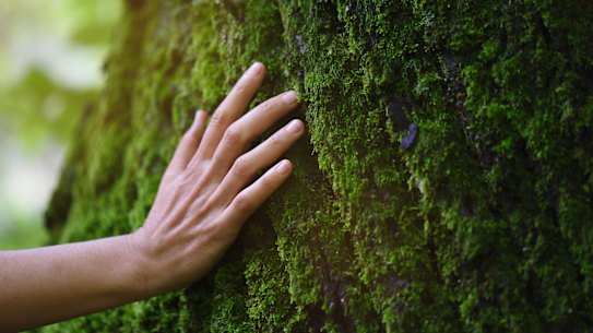 None of the many doctors I consulted could tell me what was wrong.