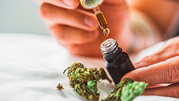 smh.com.au - Kate Aubusson - Cannabis companies caught allegedly making false promises