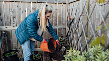 Winter is the perfect time to start composting.