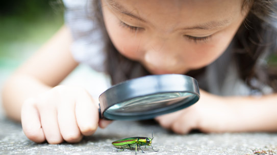 The term might be controversial, but the practice has become vital to most research fields.