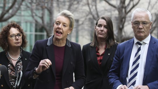Nationals MP Anne Webster, Senators Bridget McKenzie and Perin Davey, with MP Damian Drum addressing media after the party moved in the Senate to halt water recovery under the Murray Darling Basin Plan. 