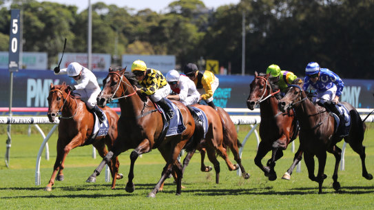 Remarque charges to the front first-up at Randwick last month.
