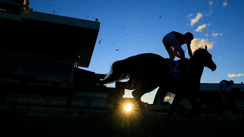 Tips and Race-by-race Guide for Rosehill on Wednesday