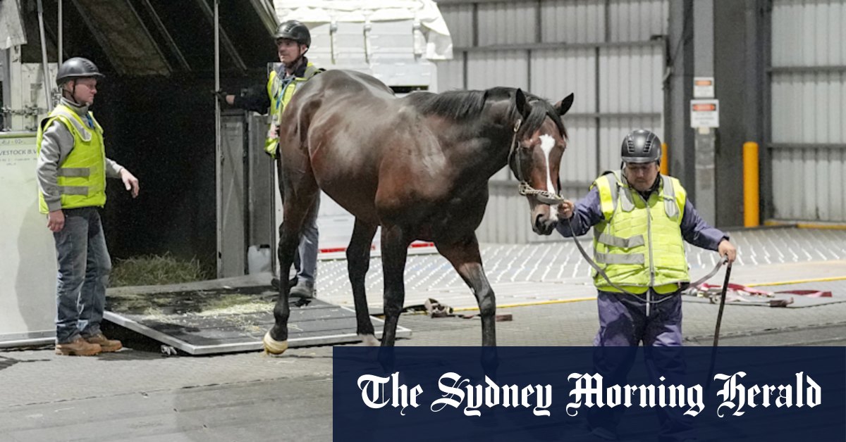 How rain and dirt launched an unlikely bid to make Melbourne Cup history