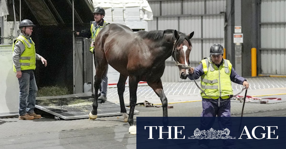 How rain and dirt launched an unlikely bid to make Melbourne Cup history