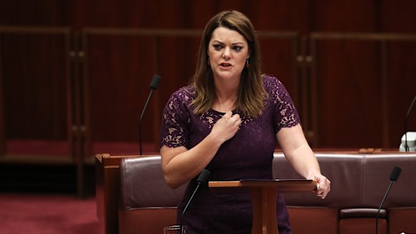 Sarah Hanson-Young was the subject of lewd comments from Senator David Leyonhjelm.