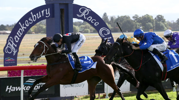 Sunday best: Racing returns to Hawkesbury for a seven-race card.