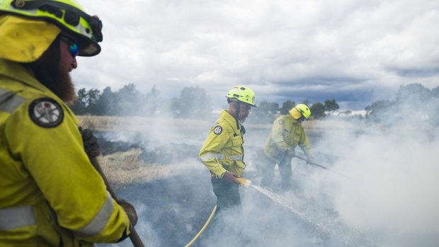 Aboriginal fire project officer Dean Freeman putting out a controlled fire during a cultural and ecological burn at the Jerrabomberra Wetlands. 