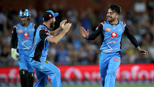 Early joy: Strikers' bowler Rashid Khan (right) celebrates a wicket against the Renegades.