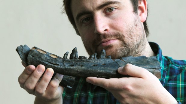  Dr. Erich Fitzgerald holds a 25 million-year-old whale jawbone specimen. 