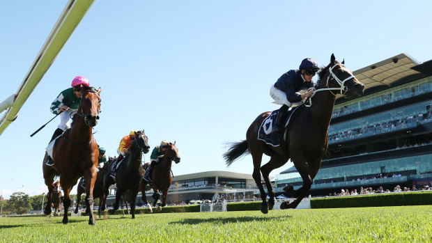 Switzerland wins the Todman Stakes.