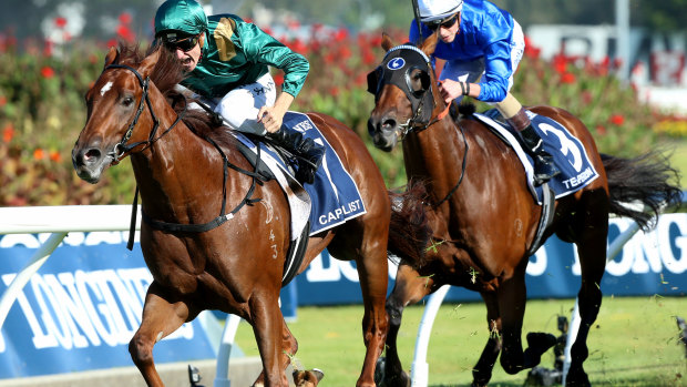 Superstar: Capitalist romps away with the Golden Slipper during his racing career.