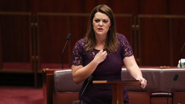 Sarah Hanson-Young was the subject of lewd comments from Senator David Leyonhjelm.