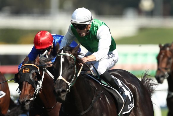 Randwick's traditional summer feature looks to be Bobbing's time to shine.