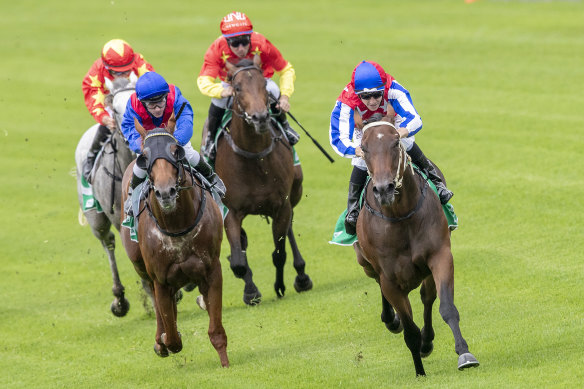 Warwick Farm is the place to be for racing on Wednesday.