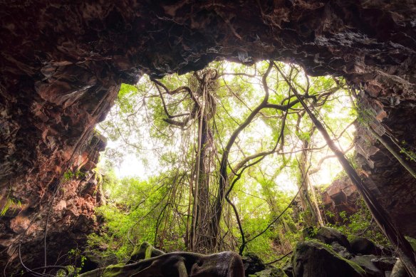 The Undara lava tubes.
