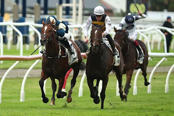 Chad Schofield and Hezashocka (right) win the Gosford Gold Cup at Newcastle last year.