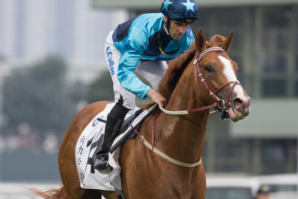 Crack On Crack On, then racing as Sunny Speed, finished third in last year's Hong Kong Derby.