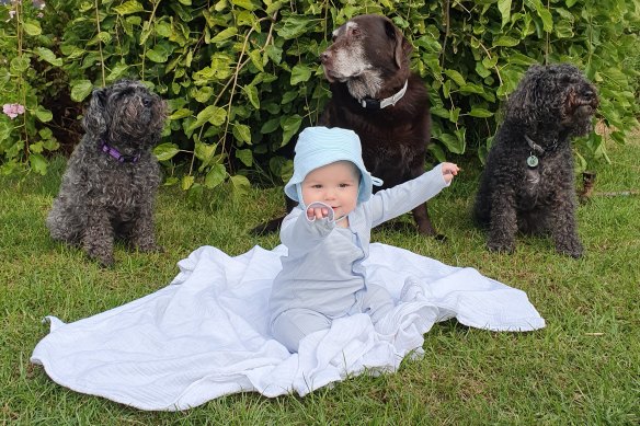 Baby Charlie with her friends and protectors Koko (left), Lulu and Bolt.