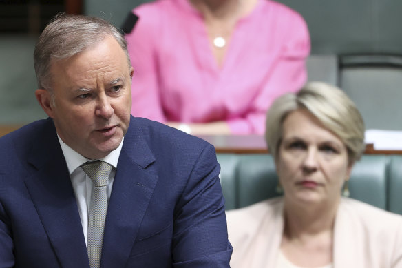 Opposition Leader Anthony Albanese and Shadow Minister for Education and Training Tanya Plibersek during Question Time.