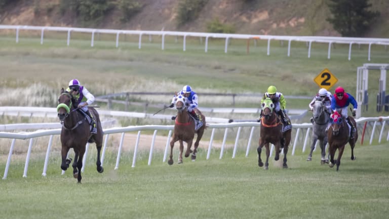 Troy Phillips rides the Joe Cleary-trained Concrete to a thumping win in the first at Queanbeyan on Boxing Day. 