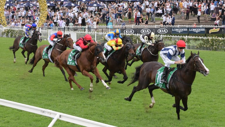 There are nine races scheduled for Rosehill today.