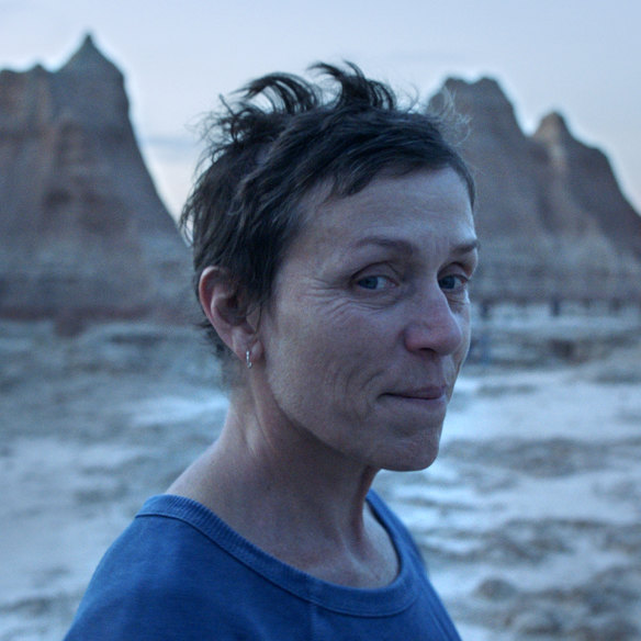 Frances McDormand plays Fern, a widow forced into a nomadic life to secure work in Nomadland.