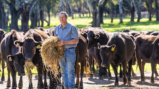 Former Nationals MP Bill Sykes flew to the UK in 2001 to help contain the foot and mouth disease outbreak.