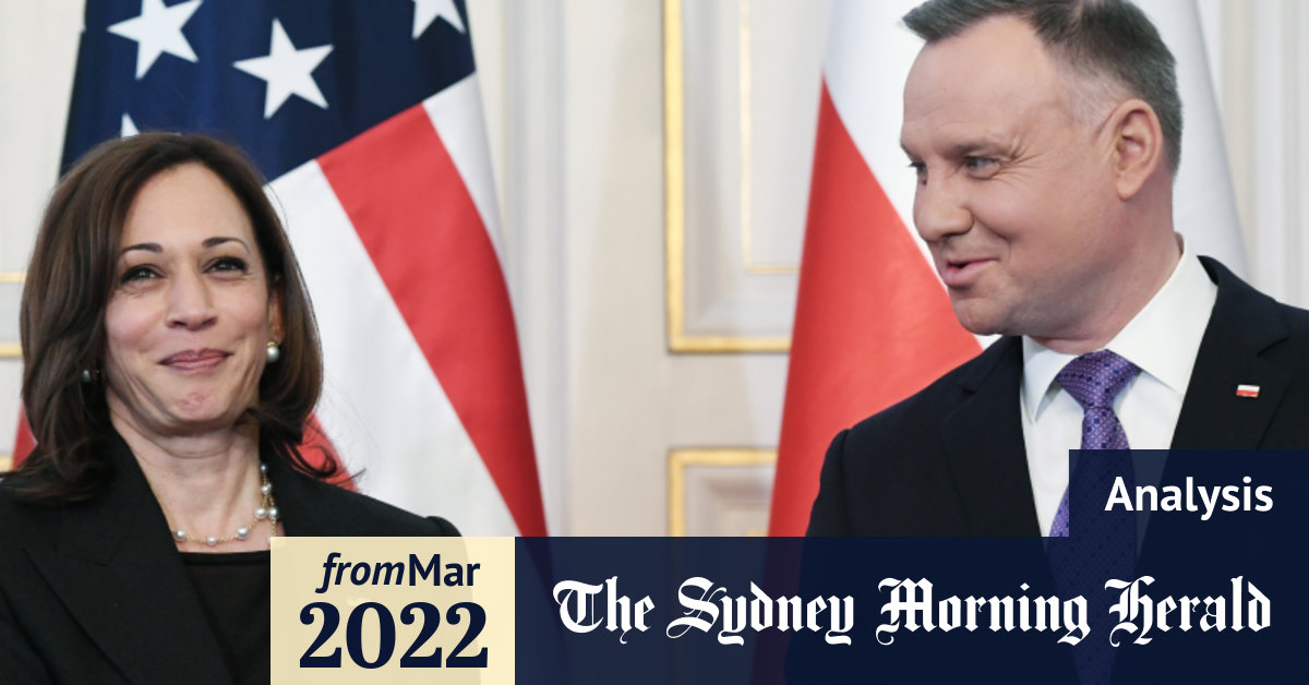 Nh primary election polls