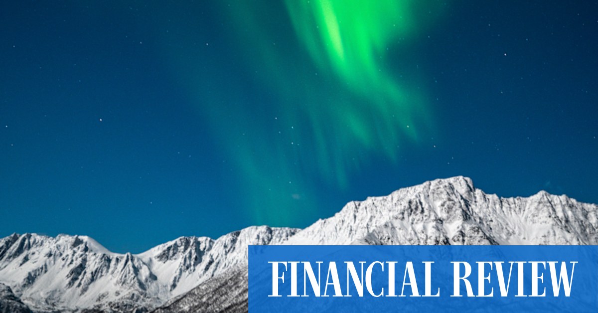I swam with orcas in Arctic Norway and viewed the Northern Lights with Majestic Whale Encounters - Vimarsana News