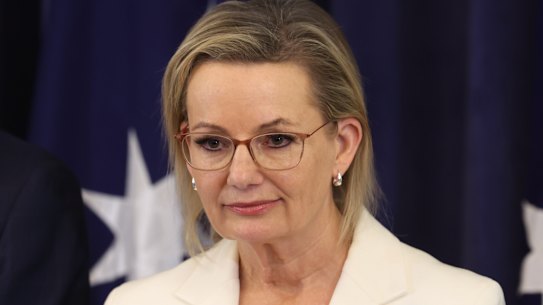 Sussan Ley at her Friday press conference.
